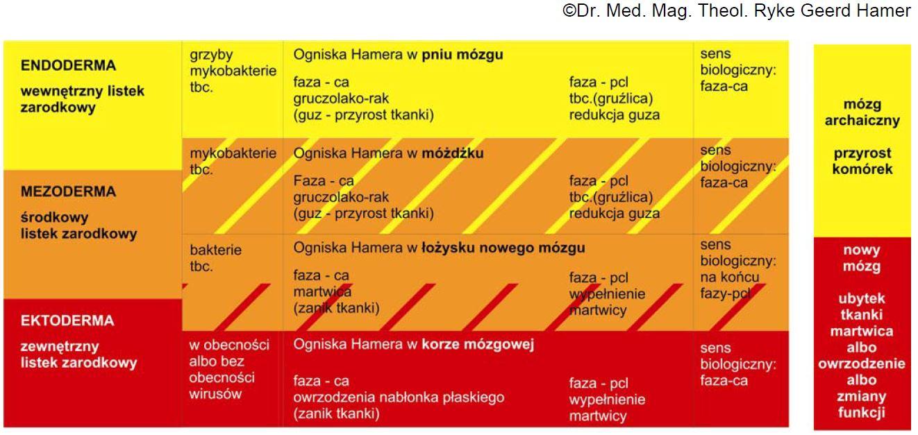 Szyny też odgrywają rolę w "chronicznych" stanach, takich jak arterioskleroza, artretyzm, Parkinson, albo MS.