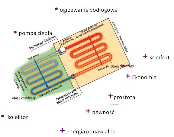 bezpośredniego