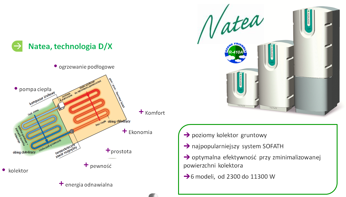 System Natea -