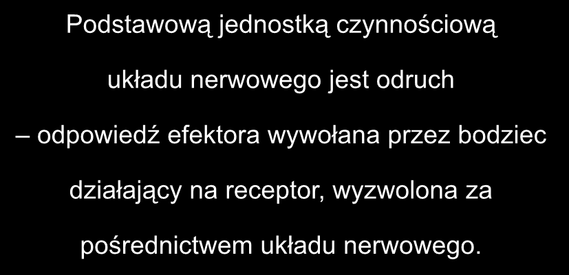 Podstawową jednostką czynnościową układu nerwowego jest odruch odpowiedź efektora wywołana przez bodziec