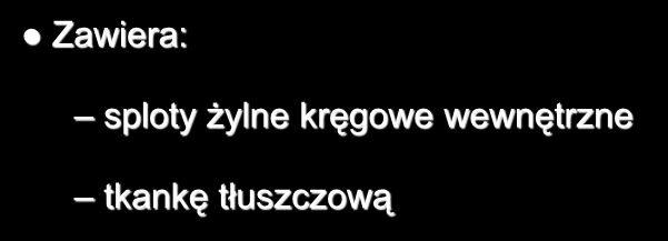 Przestrzeń nadtwardówkowa Zawiera: sploty żylne kręgowe