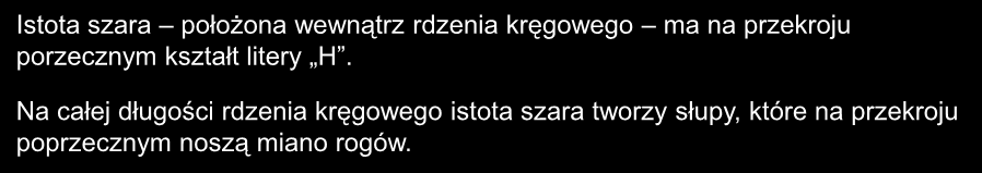 Istota szara położona wewnątrz rdzenia kręgowego ma na przekroju porzecznym kształt litery H.