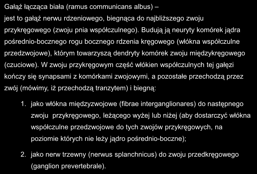 Gałąź łącząca biała (ramus communicans albus) jest to gałąź nerwu rdzeniowego, biegnąca do najbliższego zwoju przykręgowego (zwoju pnia współczulnego).