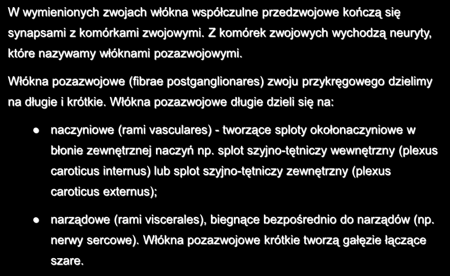 W wymienionych zwojach włókna współczulne przedzwojowe kończą się synapsami z komórkami zwojowymi. Z komórek zwojowych wychodzą neuryty, które nazywamy włóknami pozazwojowymi.