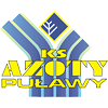 AZOTY PUŁAWY Rok założenia: 2003 Adres: Aleja Partyzantów 11 24-100 Puławy Barwy: niebiesko-biało-czerwone Prezes: Jerzy Witaszek Strona klubu: www.azoty-pulawy.
