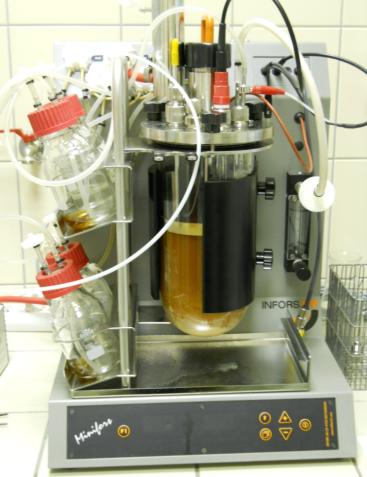 Optymalizacja procesu produkcji biopreparatów probiotycznych w bioreaktorze Fragment krzywej