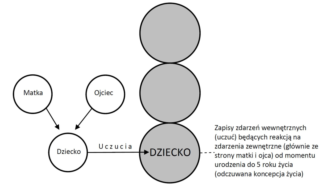 32 ANALIZA TRANSAKCYJNA JAKO PRZYJĘTY PARADYGMAT Ogólnie rzecz ujmując, stany Ja można podzielić na dwie kategorie te, które powstały we wczesnym dzieciństwie i w życiu dorosłym zasadniczo nie