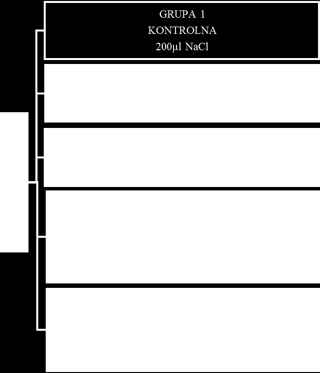 Ryc. 2