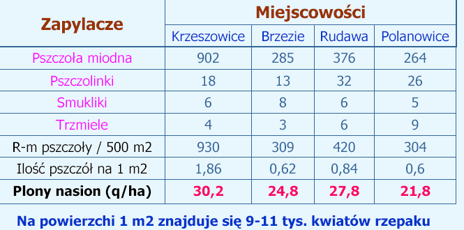 Znaczenie owadów zapylających Plantacje rzepaku ozimego