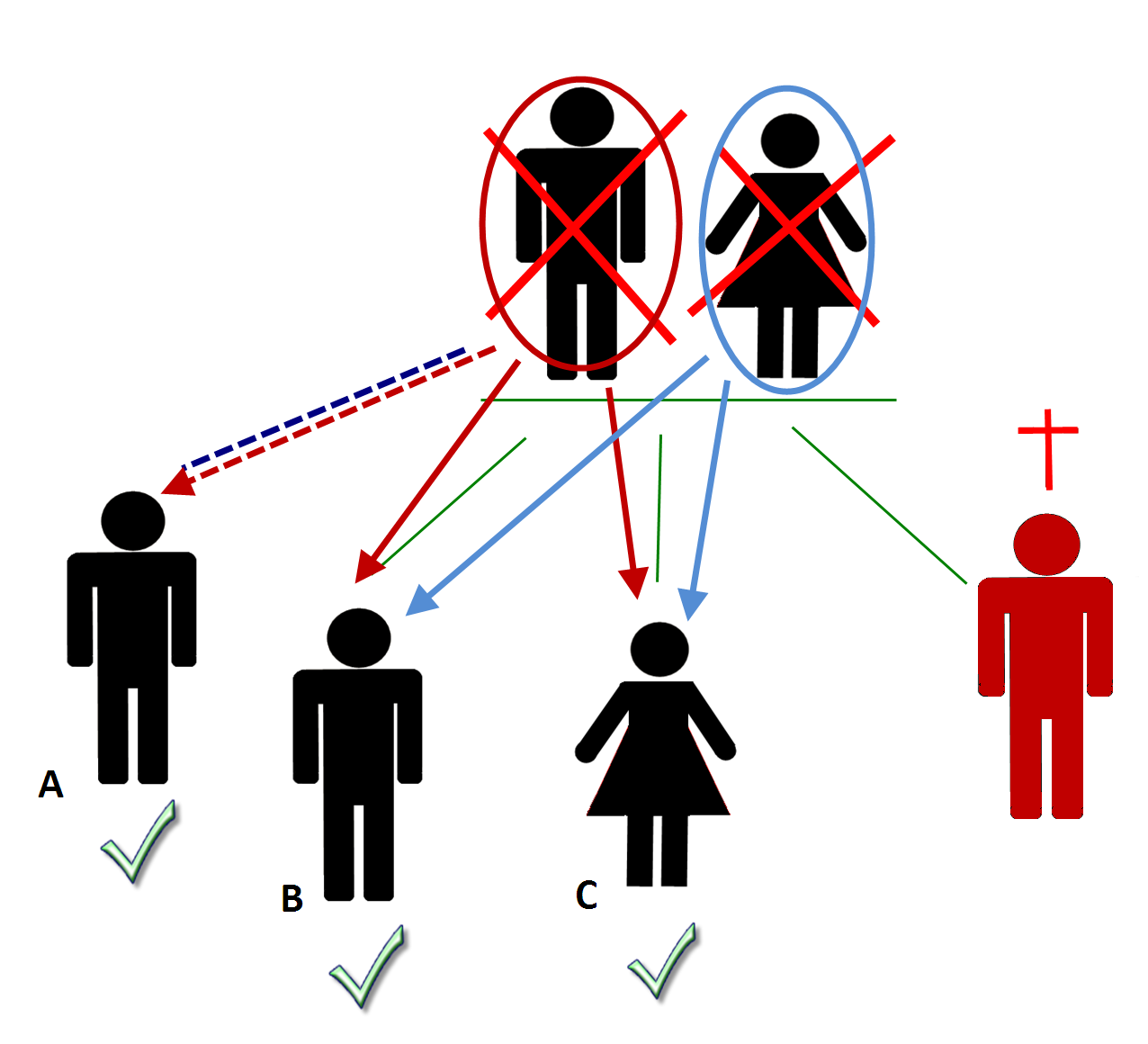Przykład Powyższy diagram przedstawia sytuację, w której jedno z rodziców spadkodawcy miało dziecko z wcześniejszego małżeostwa (A), wspólnie (oprócz spadkodawcy) mieli jeszcze dwójkę dzieci (B i C).