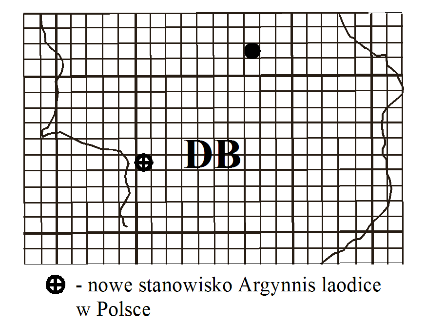 Rys. 1 Stanowiska Argynnis laodice nad Czarną Hańczą Rys.