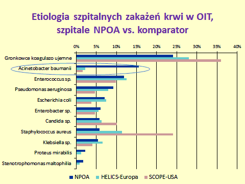 Zaskakujące wyniki uzyskano z oceny etiologii zakażeń krwi na OIT, gdzie dominował Acinetobacter baumanni.