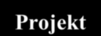 PROGRAM TEAM m) koszty ogólne (w tym opłaty czynszowe, koszty administracyjne, opłaty za energię, ogrzewanie, wynagrodzenia personelu zarządzającego, administracyjnego oraz finansowego)