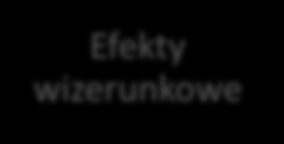 Efekty organizacyjne Pozostałe efekty realizacji PGN (1) Poprawa zarządzania zasobami gminy. Świadome przygotowanie planu inwestycyjnego związanego z energią i ochroną środowiska.