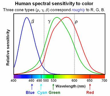 Krzywe czułości filtrów RGB Aparat ma dawać obraz zbliżony do tego, który widzi oko niestety, najpiękniejsze