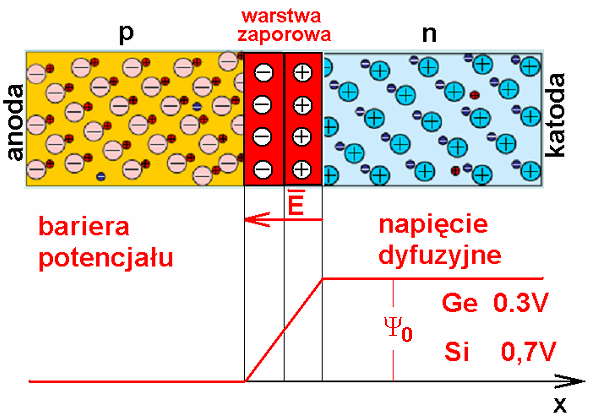 Złącze pn niespolaryzowane stan równowagi Złącze p-n jest podstawową strukturą mikroelektroniki i optoelektroniki.