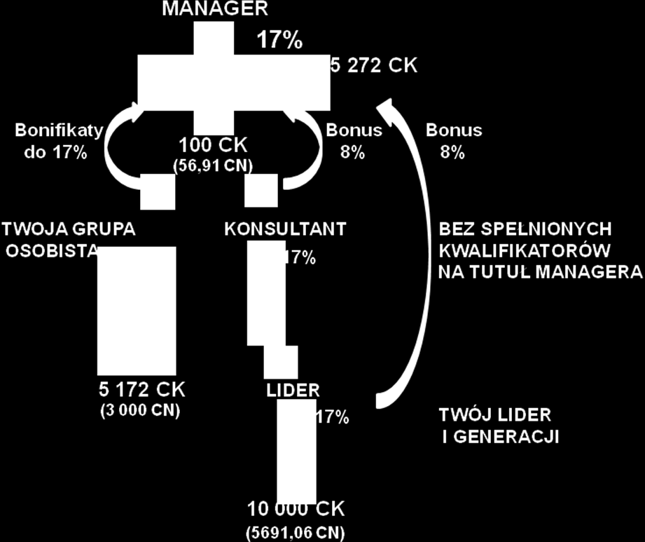 Przykład 7: Brak spełnionych kwalifikatorów do uzyskania Tytułu Managera Marki Mariza Jeżeli od Konsultanta odłączył się Lider wraz z Grupą Liderską, a Konsultant nie spełnił kwalifikatorów do