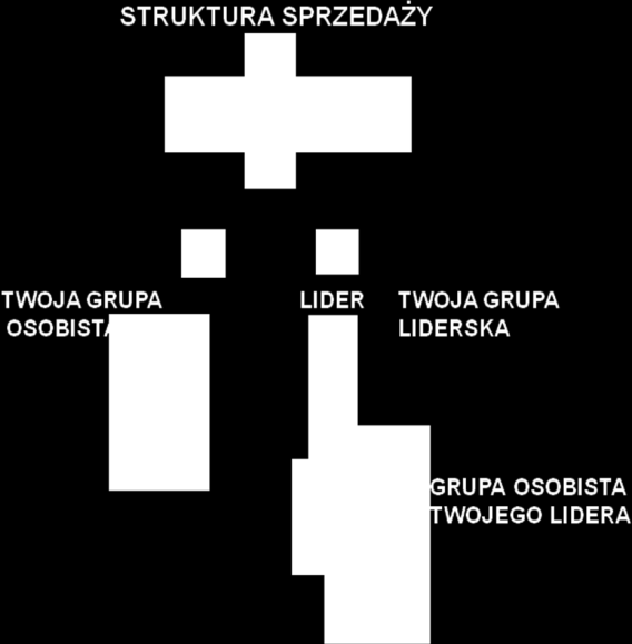 osiągnięciu i utrzymaniu przez 3 kolejne miesiące kalendarzowe lub przez 6 miesięcy z 12 tytułu Starszego Dyrektora Marki Mariza. Przykład 9: FORMY ROZLICZEŃ.