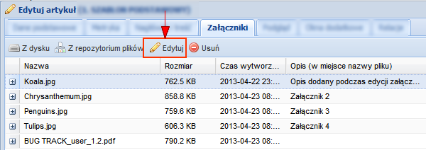 Wszystkie dodane załączniki utworzą listę, wyświetlaną w układzie kolumn: Nazwa oryginalna nazwa pliku, Rozmiar wielkość pliku, Czas wytworzenia data i czas dodania pliku, Opis (w miejsce nazwy