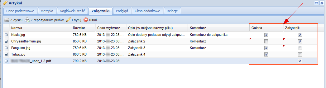 Widok na froncie Tagi - pole umożliwia wprowadzenie słów kluczowych dla danego załącznika, (zarządzanie słowami kluczowymi patrz Moduł słowa kluczowe), dodane tagi będą wyświetlane na froncie