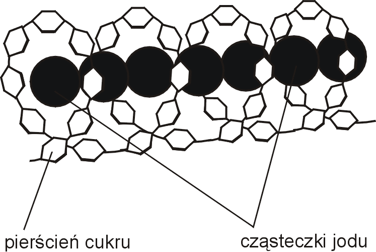 Amyloza w reakcji z jodem daje zabarwienie ciemnoniebieskie, zaś amylopektyna i glikogen fioletowe z odcieniem czerwonym.