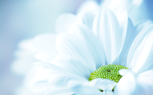June 21st, 2015: 12th Sunday in Ordinary Time Page 7 What Makes A Dad God took the strength of a mountain, The majesty of a tree, The warmth of a summer sun, The calm of a quiet sea, The generous