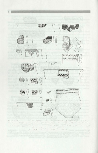 30 Barbara Witkowska Fig. 5.