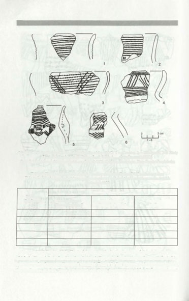 34 Barbara Witkowska Fig. 9. Selection of pottery from settlements site of the CWC: 1 Czułów, 2 Strzegowa, 35 Zloty Potok, 6 Przybówka (15 after Rook 1980; 6 after Gancarski 1992) Ryc. 9. Wybór ceramiki ze stanowisk osadowych KCS: Czułów, Strzegowa, Złoty Potok i Przybówka Table 1.