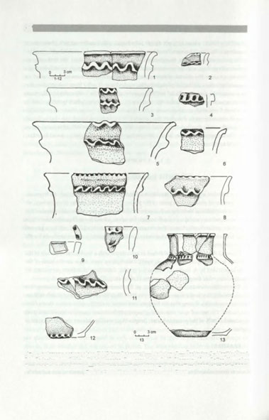 26 Barbara Witkowska Fig. 2.