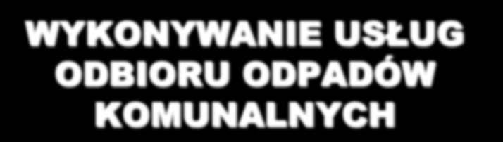 WYKONYWANIE USŁUG