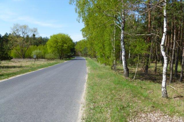 Pierwszy odcinek 3 km, możemy pokonać mając do wyboru dwie opcje: 1/. pierwszą ścieżkę już pamiętamy z pierwszej wyprawy, czyli patrząc na zdjęcie, skręcamy za kościołem w lewo.