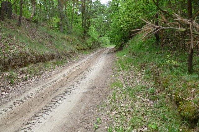 Zjeżdżając, trzymam dłonie na hamulcach i wstrzymując rower, który chce pomykać w dół,