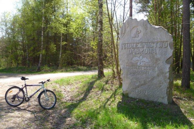 Napis na obelisku: NADLEŚNICTWO DĄBROWA SZKOŁA LEŚNA BOJANOWO AD 2007 Droga, którą widzimy za