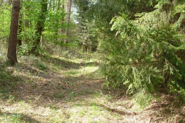 Rezerwat przyrody objęty ścisła ochroną.