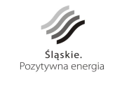 Adres strony internetowej zamawiającego: www.slaskie.pl I. 2) RODZAJ ZAMAWIAJĄCEGO: Administracja samorządowa. SEKCJA II: PRZEDMIOT ZAMÓWIENIA II.1)