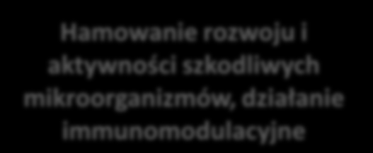Mikroflora jelit noworodków Szkodliwy wpływ na zdrowie człowieka 12 Korzystny wpływ na zdrowie człowieka 10 Escherichia coli 8 6 4 Produkcja toksyn