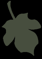 Zielony Kraków