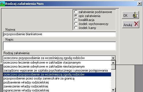 Opis sprawozdania MS-S16 w Wydziale Rodzinnym 7 Rys. 11 Okno Rodzaj załatwienia Nsm Dział 1.