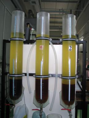 Badania instalacji do tłoczenia oleju rzepakowego w gospodarstwie rolnym
