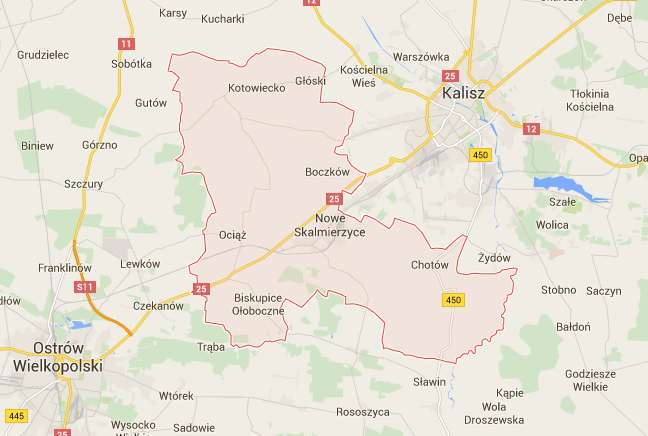 Lokalizacja i dostępność komunikacyjna: Nieruchomość położona jest w Nowych Skalmierzycach, obręb Nowe Skalmierzyce przy ul.