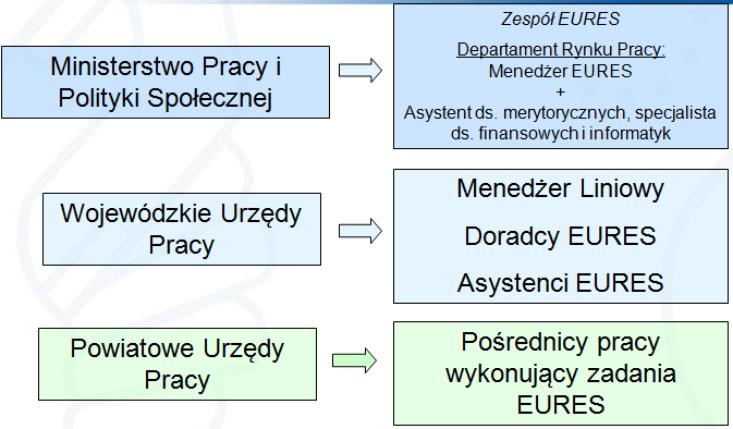 Struktura EURES w Polsce W