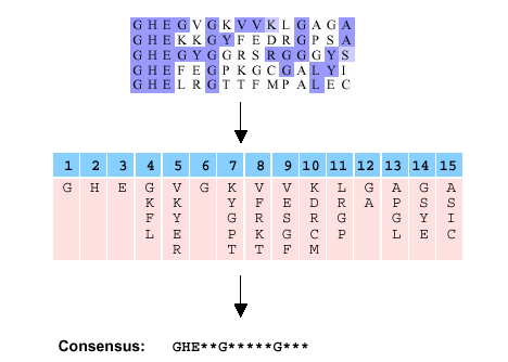 Patterns Sposób zapisu matrycy (wzorca): motyw receptora jadrowego: