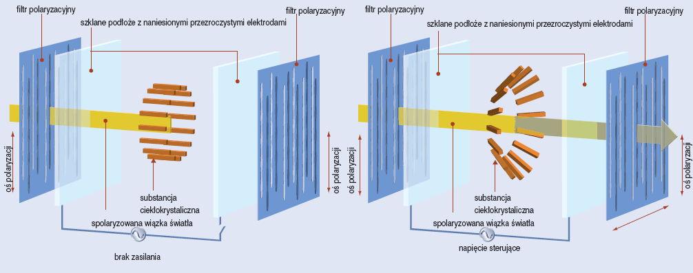 Multidomain Vertical