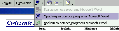 Aby raport pokazał wynik w "jednej linii" wytnij z sekcji WYDANIE - nagłówek i wklej do sekcji WYDANIE - stopka.