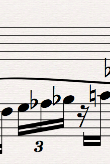 Kto korzysta z programu Sibelius?