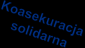 Koasekuracja solidarna (4/9) W części przypadającej na zakład ubezpieczeń Dane w rejestrze umów: - należna składka - suma ubezpieczenia W części przypadającej na zakład ubezpieczeń + dane o