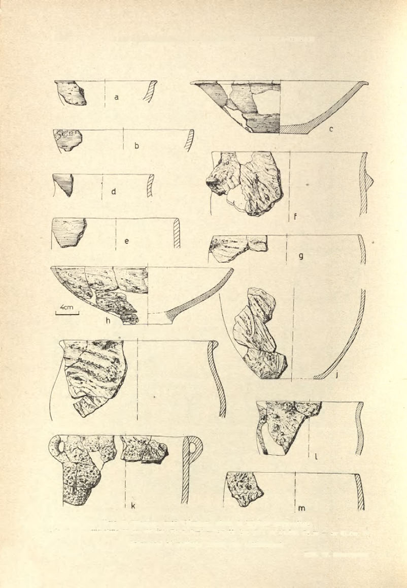156 JAN DĄBROWSKI, MAŁGORZATA MOGIELNICKA-URBAN Ryc. 9. Woryty, woj. Olsztyn, stan. 2.