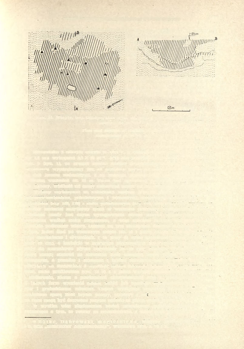 WYNIKI PRAC WYKOPALISKOWYCH WE WSI WORYTY 163 Ryc. 14. Woryty, woj. Olsztyn, stan. 4, ar 445. Plan i profil obiektu 3 (jama) Legenda jak do ryc.