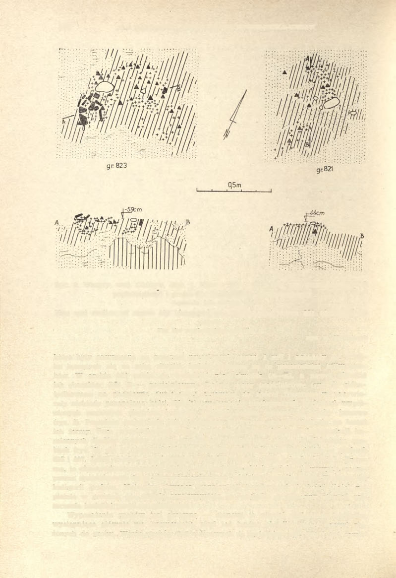 148 JAN DĄBROWSKI, MAŁGORZATA MOGIELNICKA-URBAN Ryc. 2. Woryty, woj. Olsztyn, stan. 1. Plan i przekrój grobu 823 (uszkodzony grób popielnicowy) i grobu 821 (uszkodzony grób jamowy) Legenda jak do ryc.