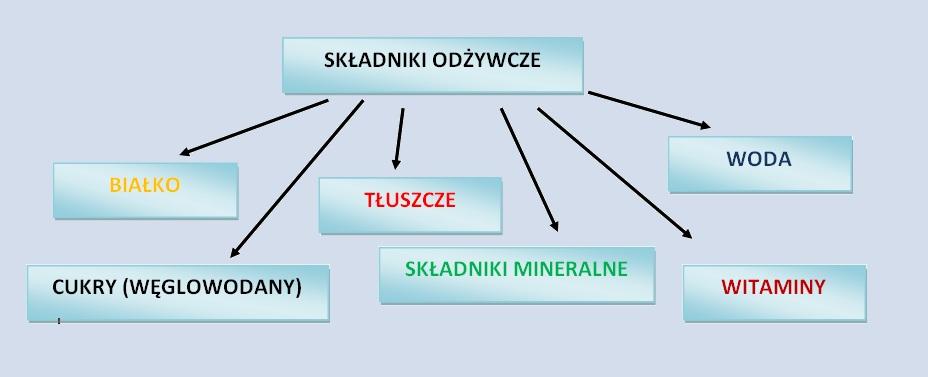procesowi degradacji, który zaczyna się w ustach, a kończy w jelicie gdzie poprzez